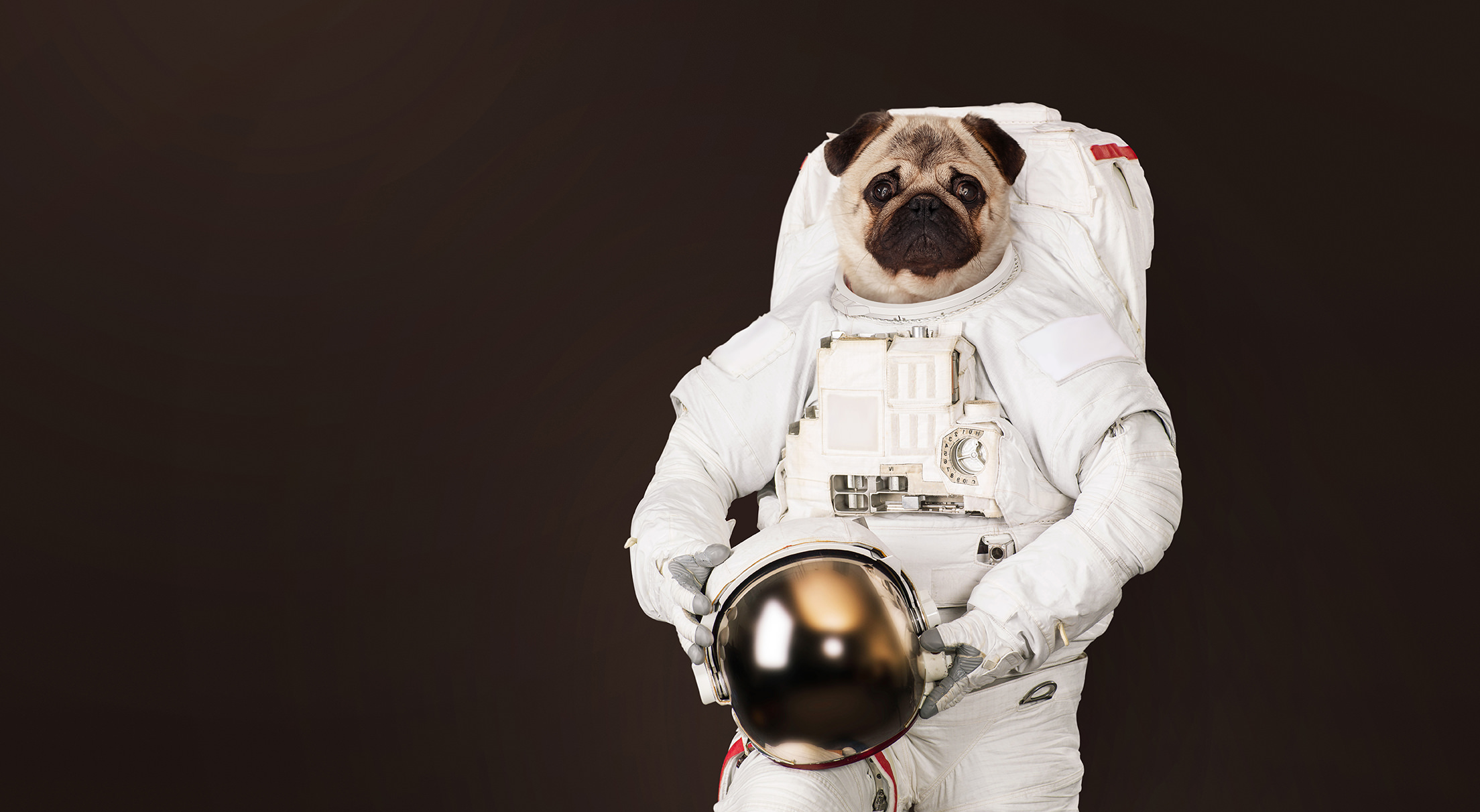Astronaut mit Helm in der Hand vor einem schwarzen Hintergrund. Statt eines menschlichen Kopfes hat er jedoch einen Hundekopf.